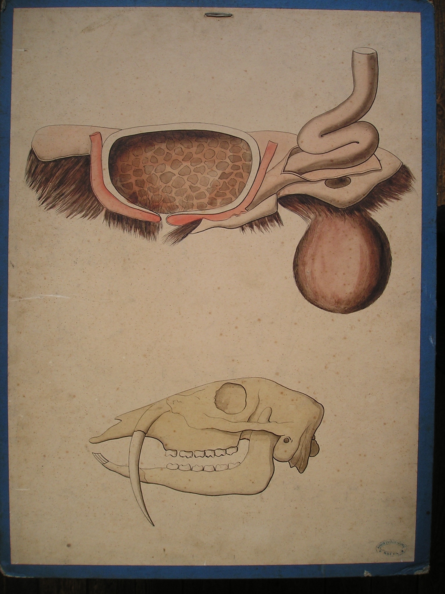 sans titre (2 dessins)